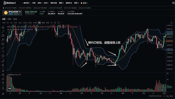《加密之王的坠落：一场价值数十亿美元的世纪骗局》