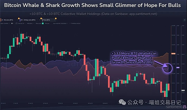 重磅来袭！BBA豪车俱乐部开启财富社交新纪元