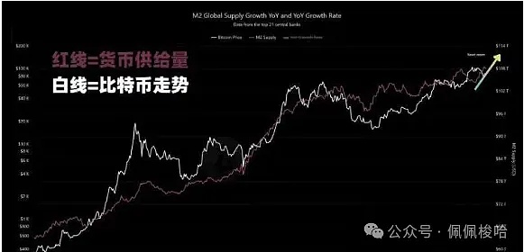牛市前哨站：比特币领涨下这6大潜力币值得关注