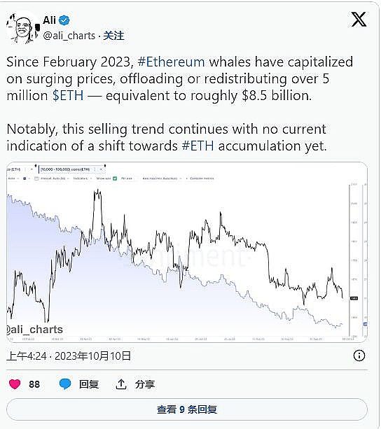 狗狗币异军突起：10%暴涨背后的市场玄机