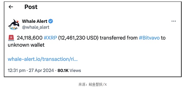 市场反弹背后的真相：是黎明前的黑暗还是最后的狂欢？