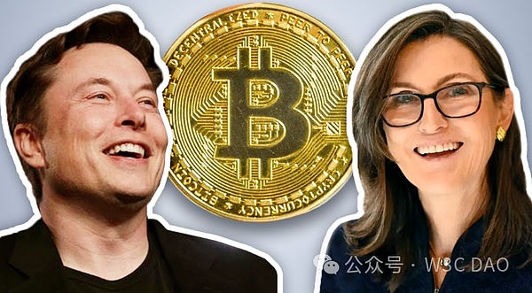 SOL币的疯狂上涨：一场让人意外的翻身仗
