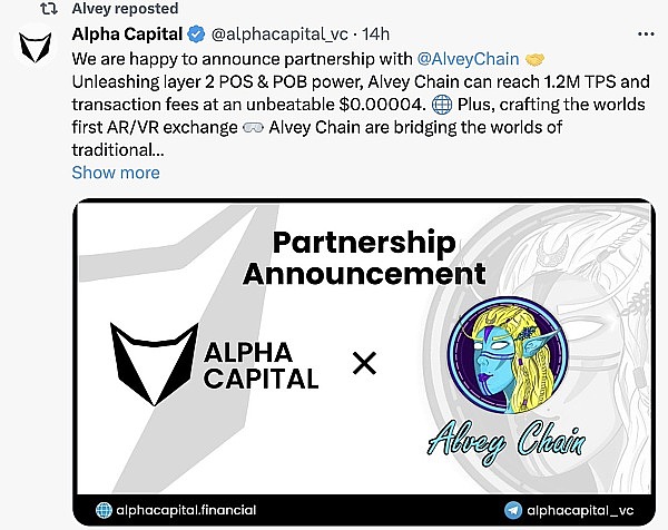XRP蓄势待发：技术面释放强烈看涨信号