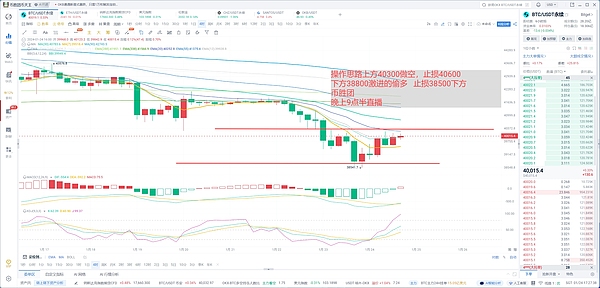 暖心！CoinW币赢这场跨越台湾4城的爱心行动，让3000美元物资温暖流浪毛孩