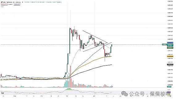 XRP多头蓄势待发：这次能突破关键阻力位吗？