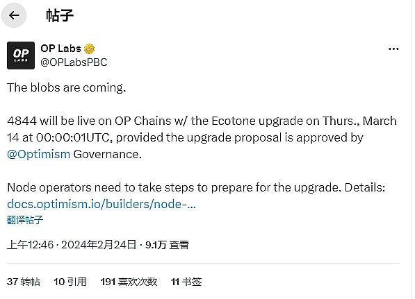 粉丝币集体跳水：是抄底良机还是割肉时刻？