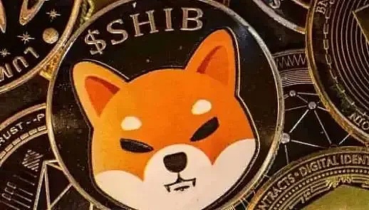 龙年最强IP横空出世，这次真的要起飞了？