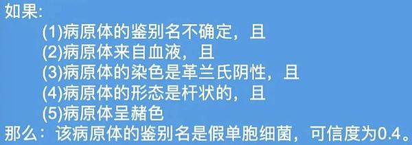 2024年比特币狂欢季：一场即将上演的数字财富盛宴