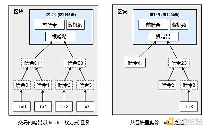 2025年柴犬币能翻身吗？一位老韭菜的深度观察