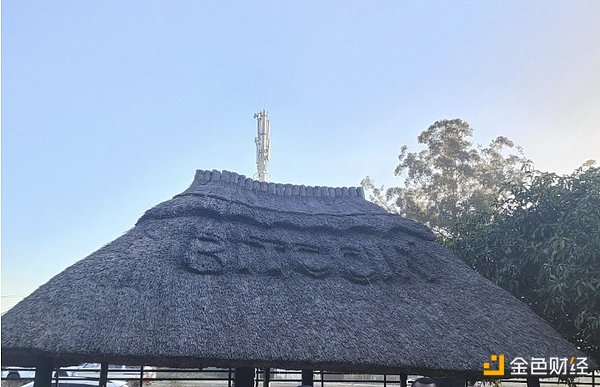 从负债累累到身家过亿：一个普通人的加密货币逆袭之路